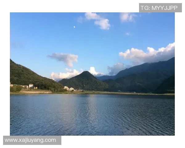 深度探讨刘强在王者荣耀中的游戏人生与成长历程